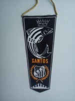 /album/sao-paulo-santos1/fc-santos-14-b-jpg/